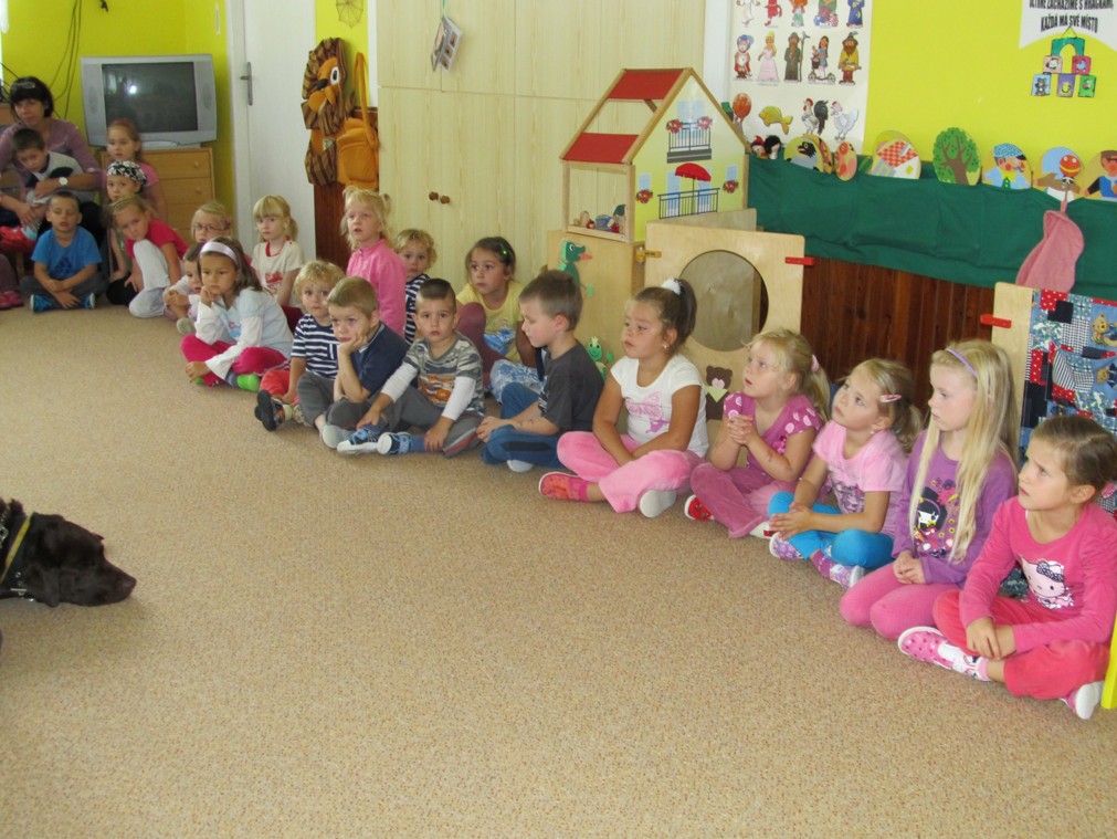 BESEDA S PEDREM (65)