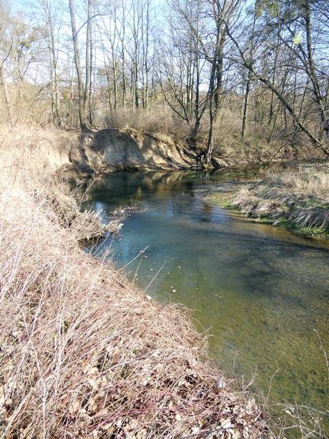 DSCN8349