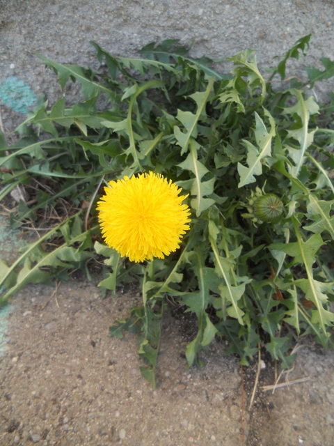 DSCN8319