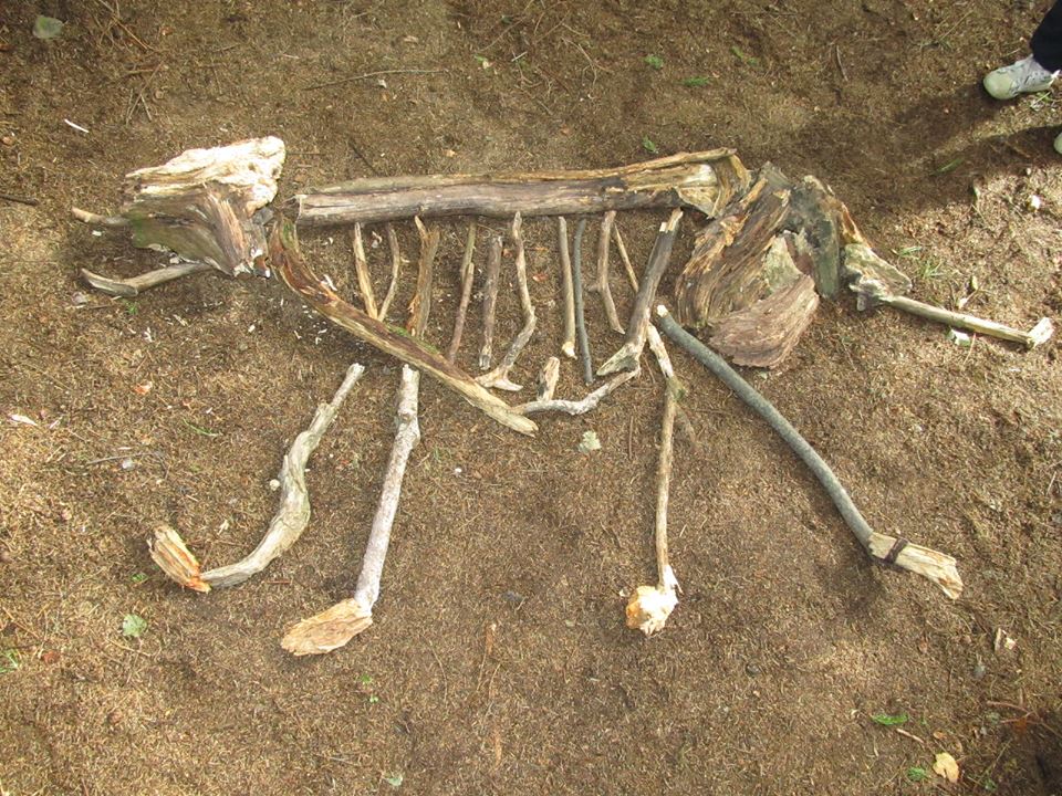 a32