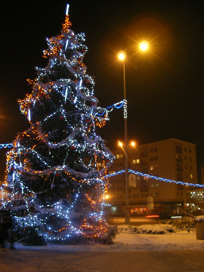 DSCF3232.JPG