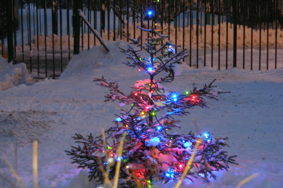 DSCF3713.JPG