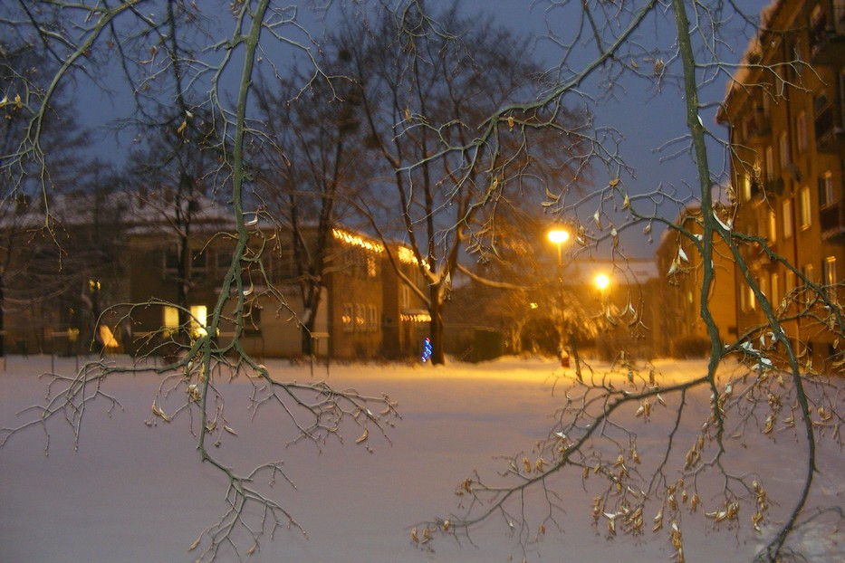 DSCF3732.JPG