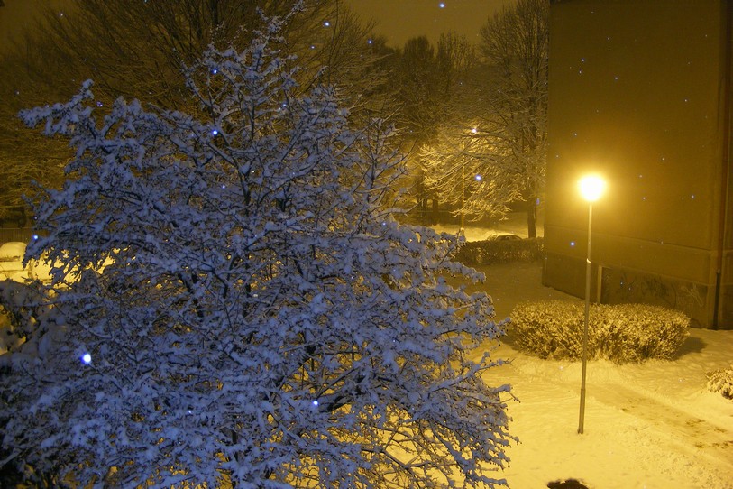DSCF3801.JPG