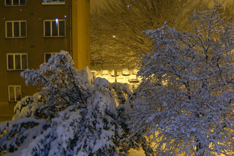 DSCF3802.JPG