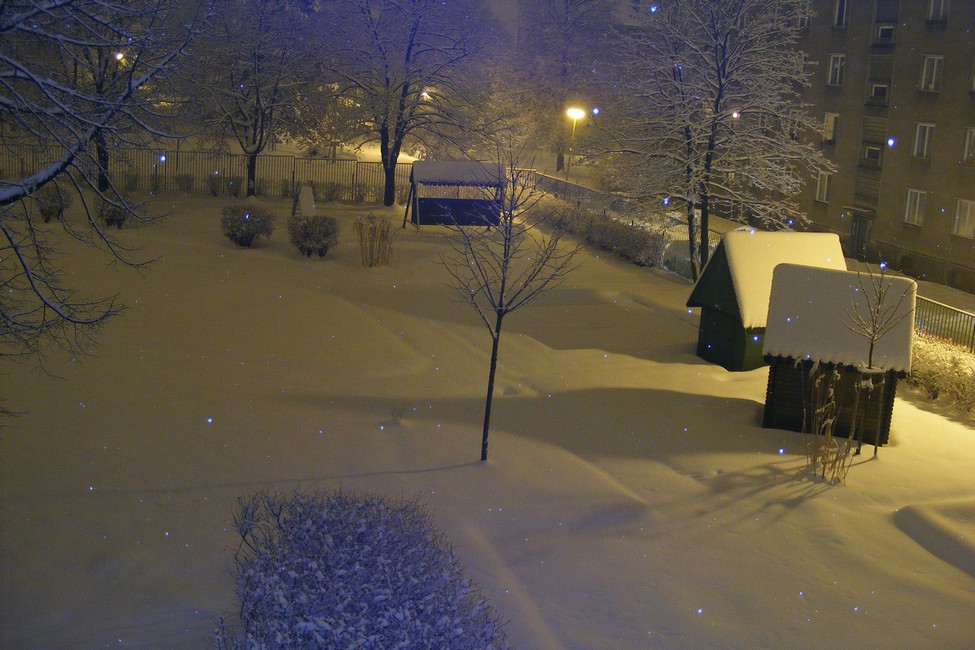 DSCF3805.JPG