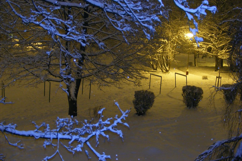 DSCF3810.JPG