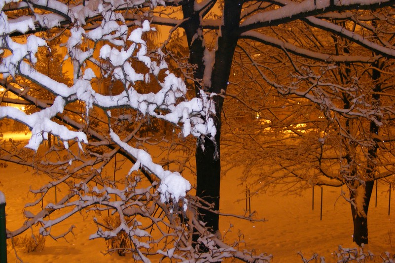 DSCF3811.JPG