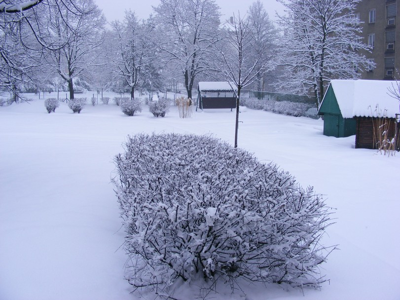 DSCF3835.JPG