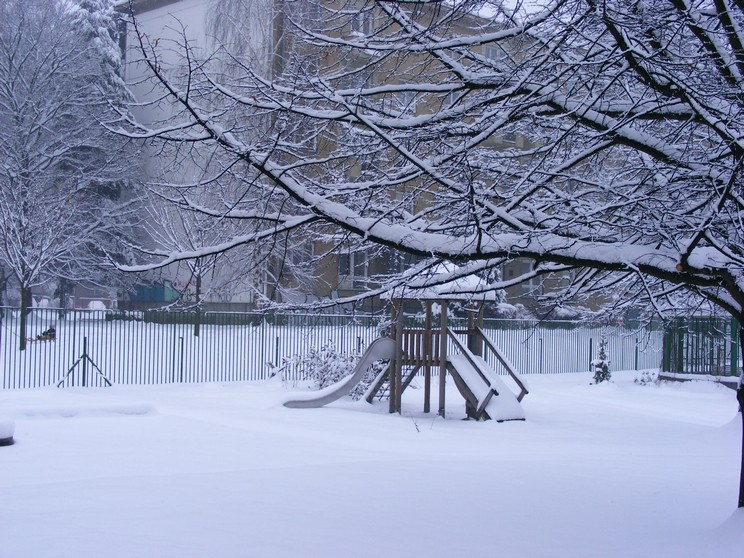 DSCF3838.JPG