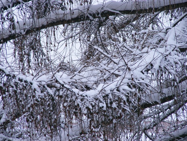 DSCF3847.JPG