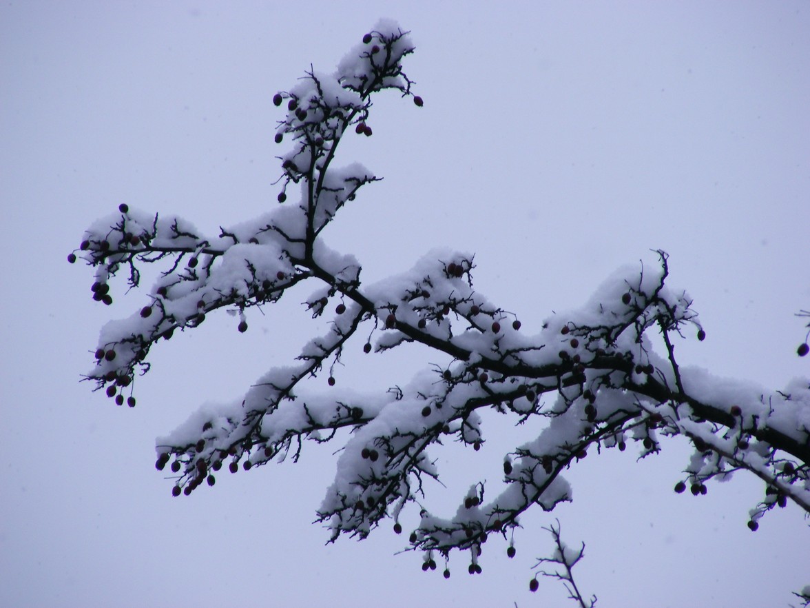 DSCF3848.JPG