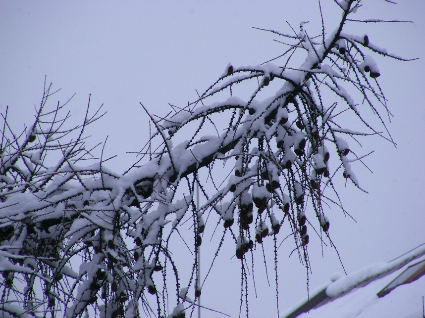 DSCF3849.JPG
