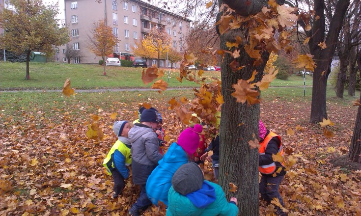 LÍSTEČKOVÉ DOVÁDĚNÍ (11)