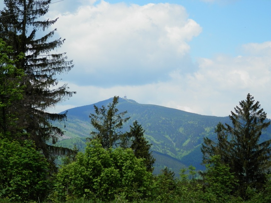 P5271404