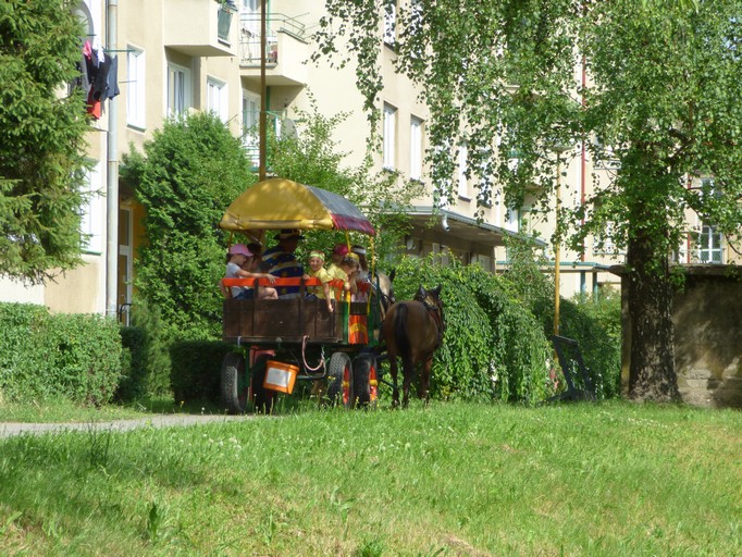 P1040601