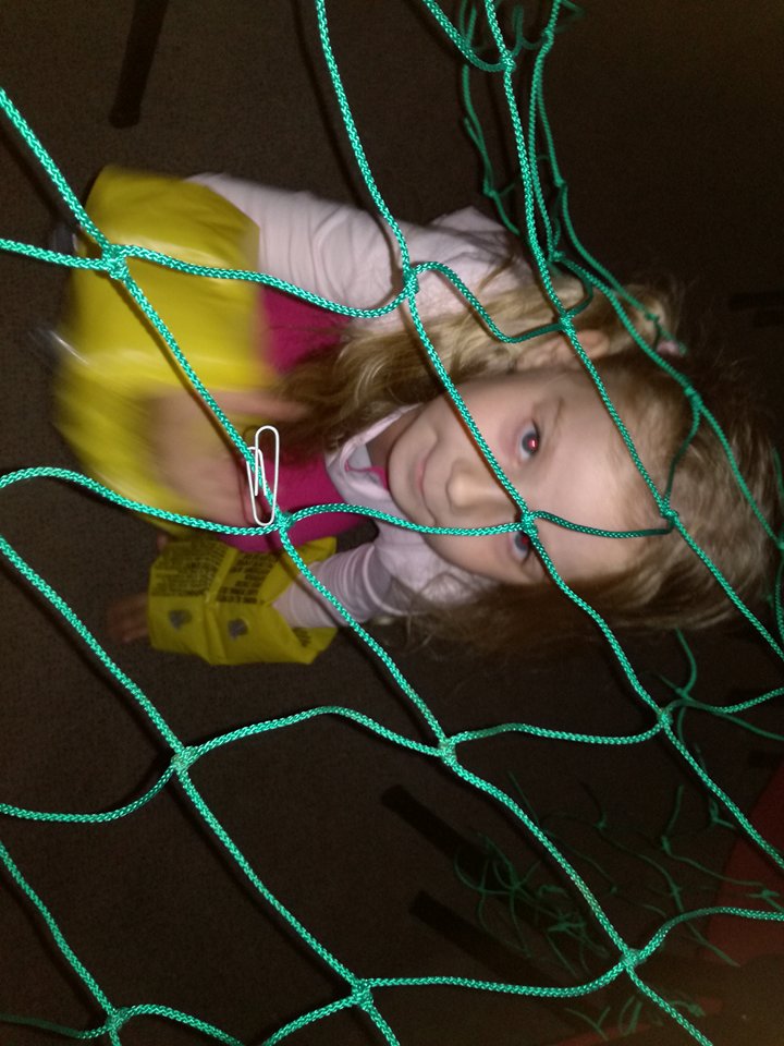 21905305_1773170846029967_1752926387_n
