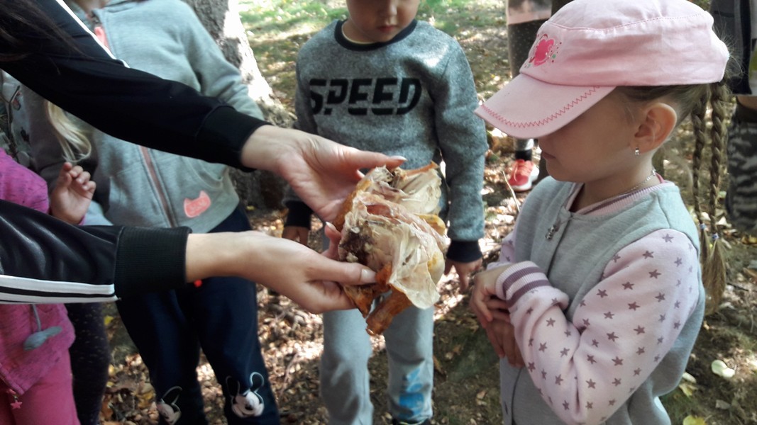  1 ŠKOLA V PŘÍRODĚ DEN 2 (41)