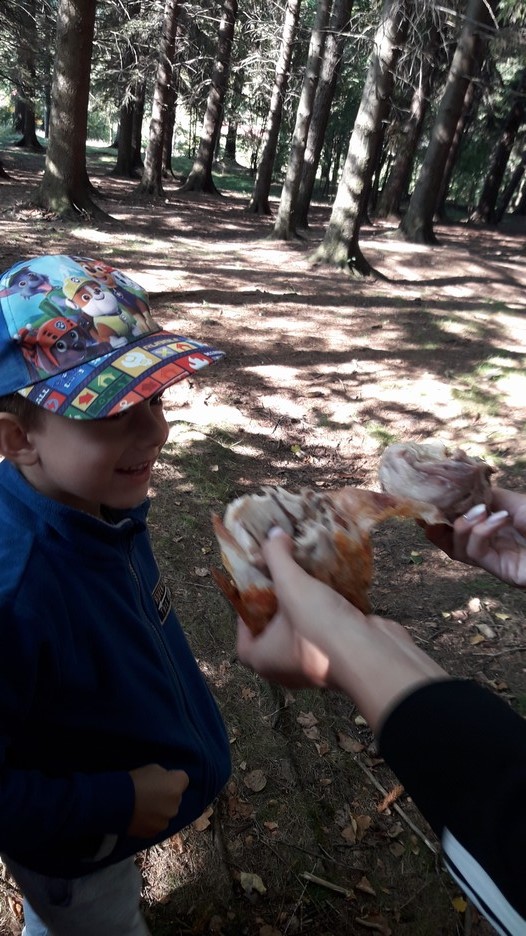  1 ŠKOLA V PŘÍRODĚ DEN 2 (42)