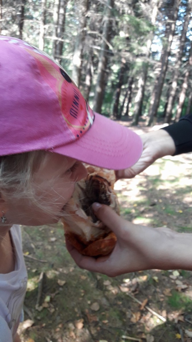  1 ŠKOLA V PŘÍRODĚ DEN 2 (43)