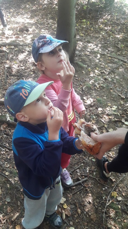  1 ŠKOLA V PŘÍRODĚ DEN 2 (50)