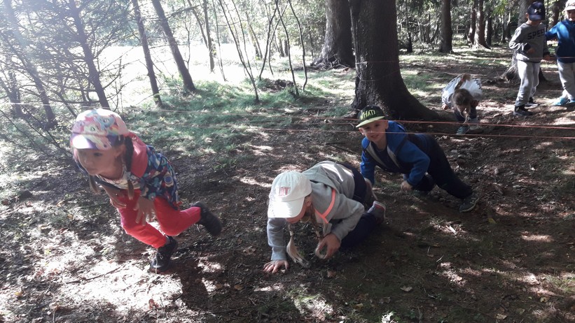  1 ŠKOLA V PŘÍRODĚ DEN 2 (80)