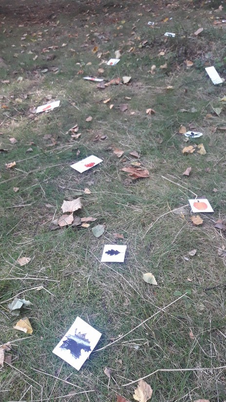2 školka v přírodě (27)