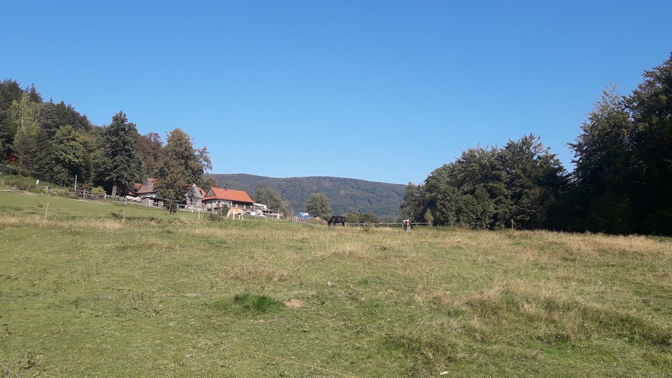 20180919_151219