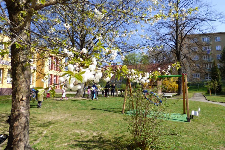 P1140806