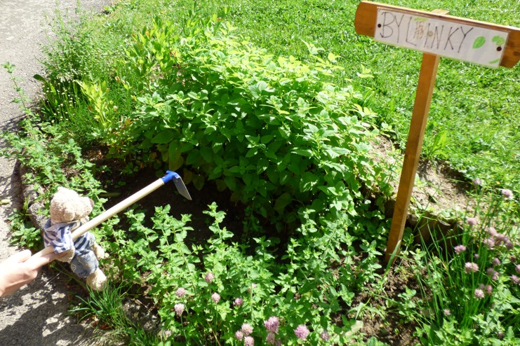 P1170270