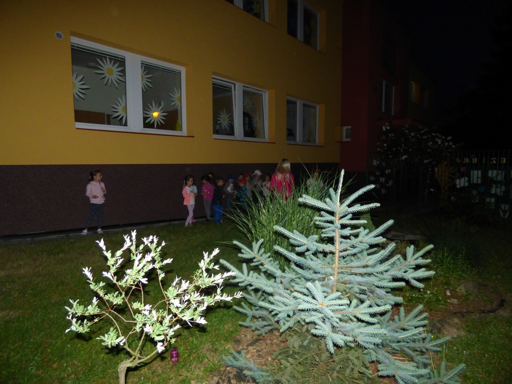 P1170720