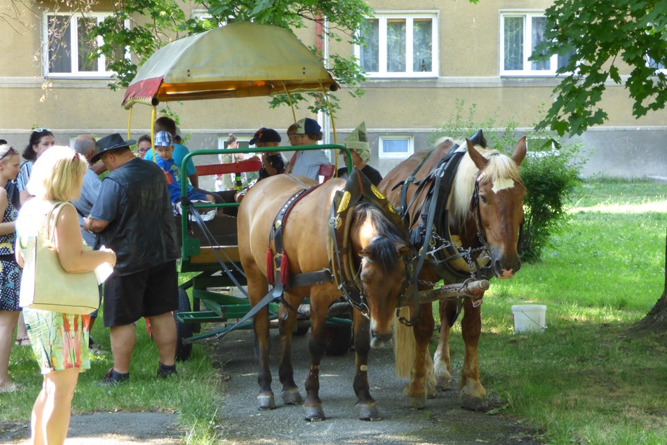 P1180039