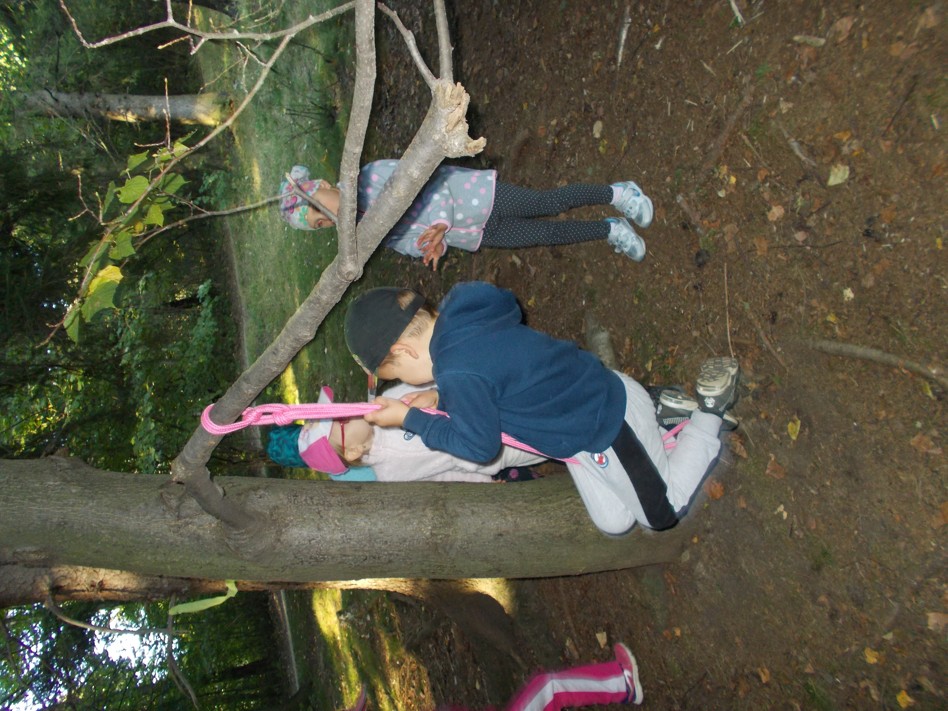 DSCN4558