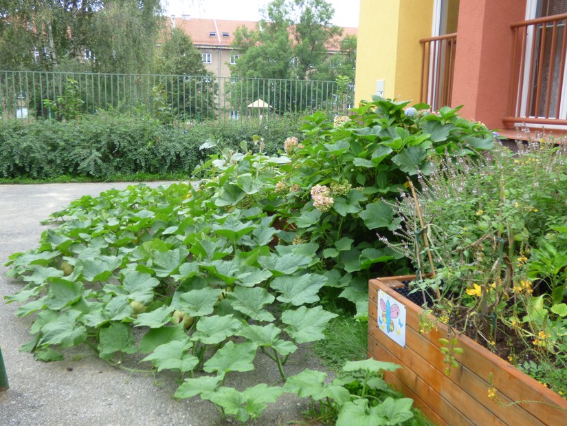 P1220946