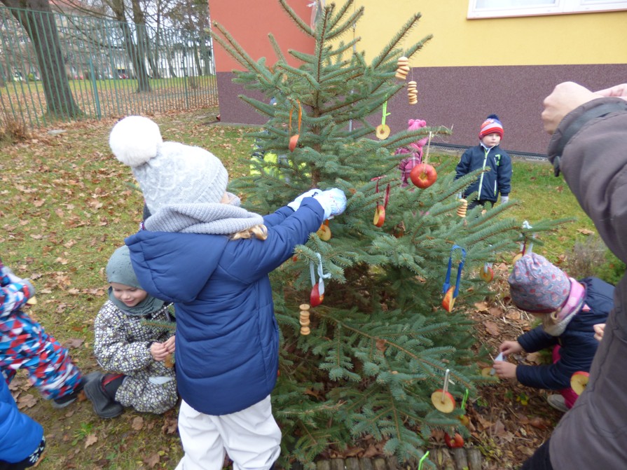 zdobení stromečku 1 (3)