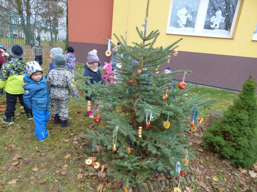 zdobení stromečku 1 (18)
