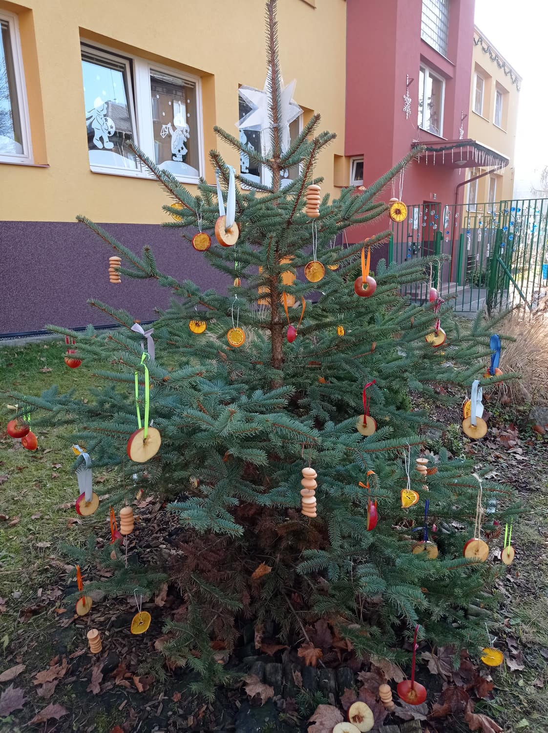 zdobení stromečku 2 (2)