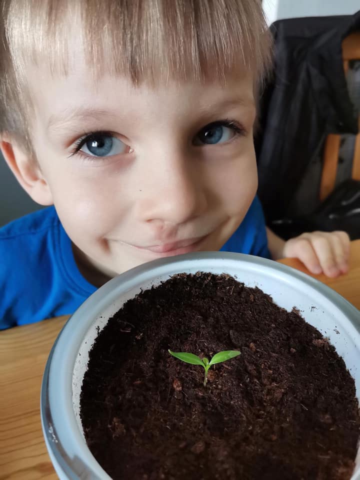 farmáři ze třídy Berušek (2)