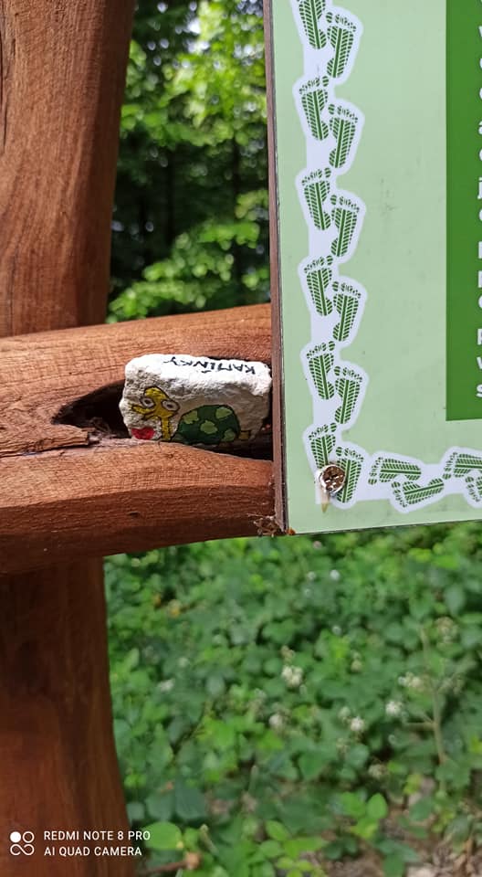 výlet motýlci (6)