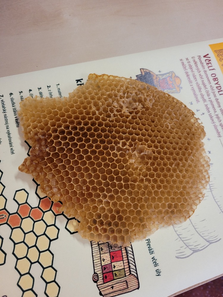 20230518_093346