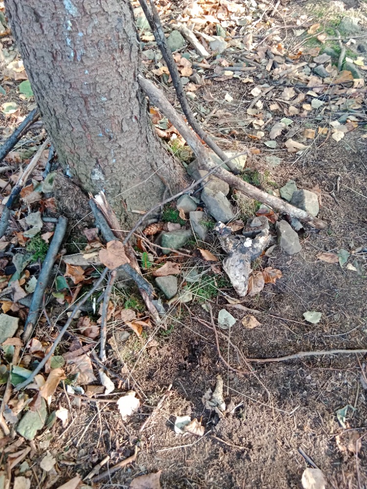 3 (13)