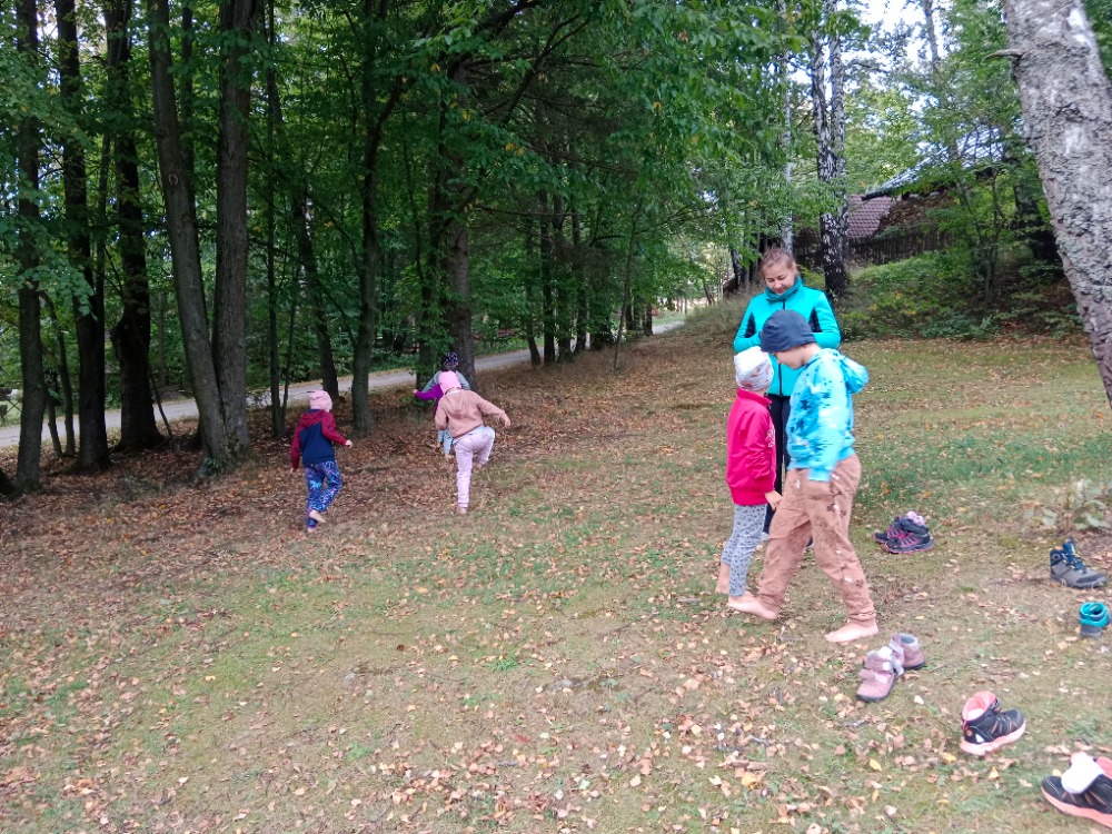 IMG_20231003_164501