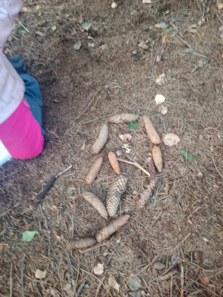 j (12)