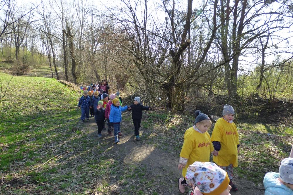 stažený soubor - 2024-03-21T165711.427