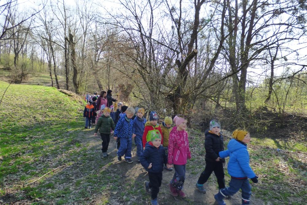 stažený soubor - 2024-03-21T165726.323