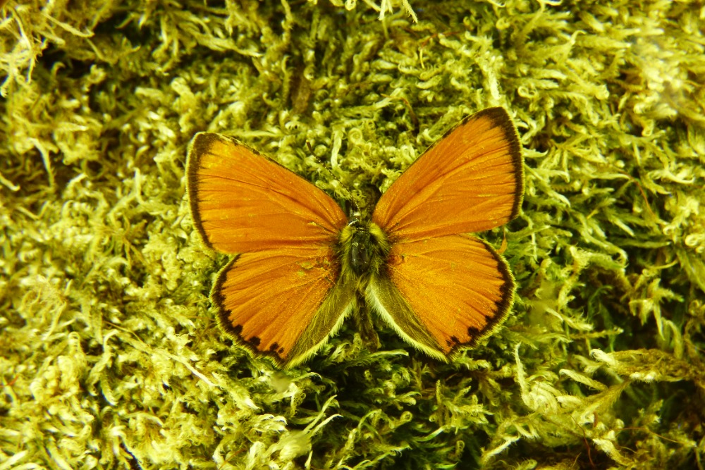 P1340835