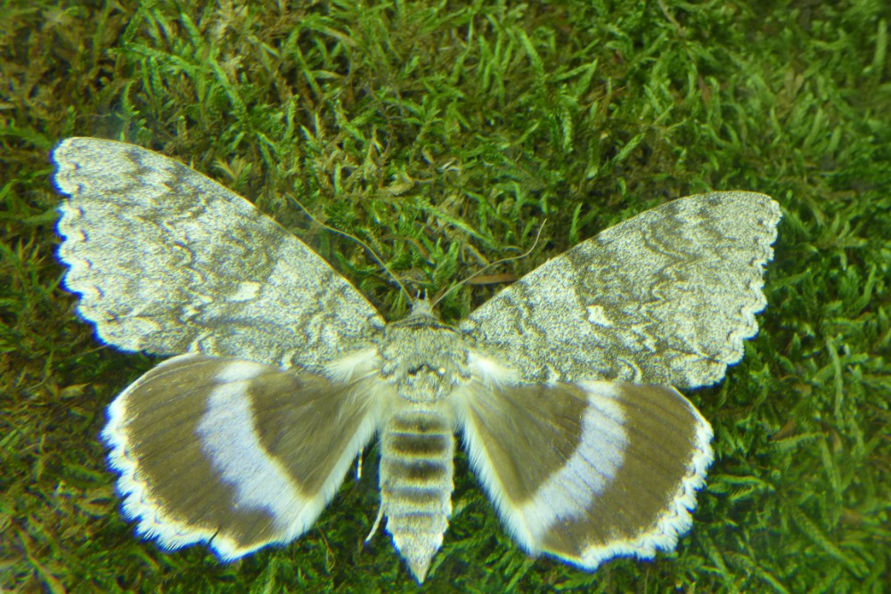 P1340836