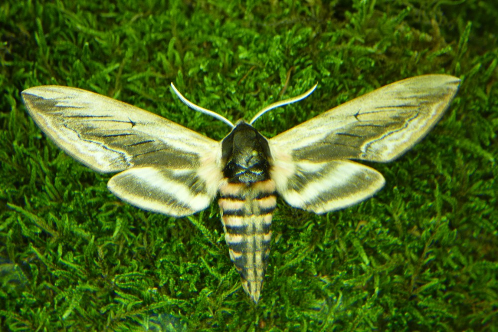 P1340837