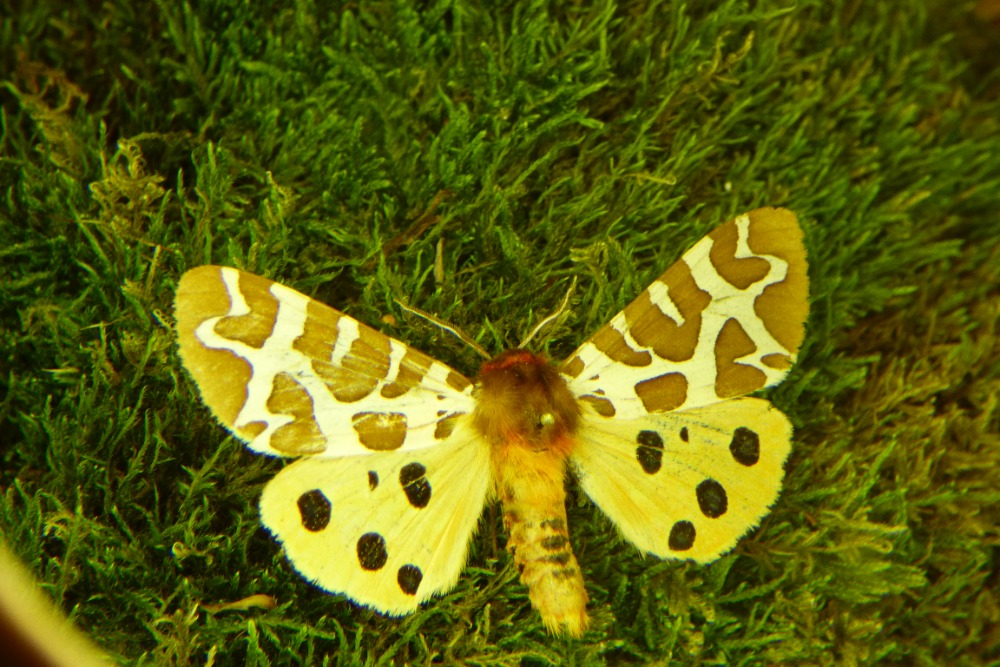 P1340838