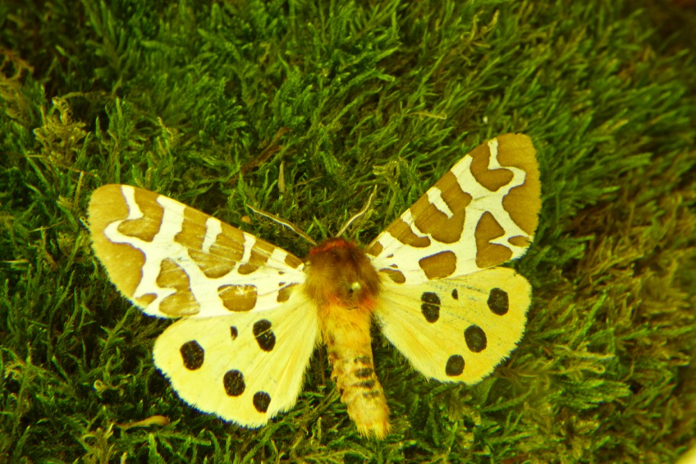 P1340839
